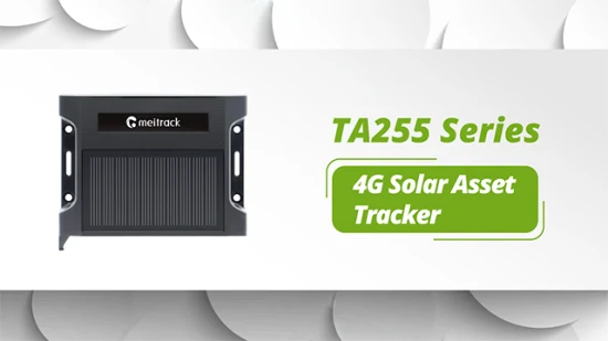 Meitrack TA255 4G GSM GPRS GPS Reale